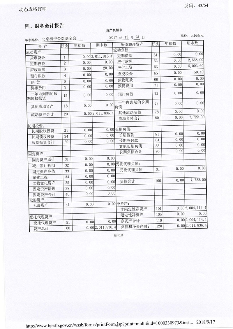 090910410359_02017基金会年报_43.jpg